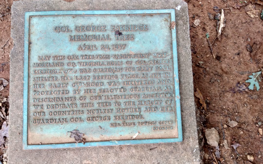 Foster Father of a Nation